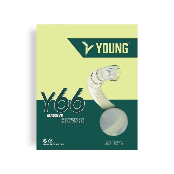 Y 66